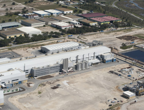 Industrial Building at the Portucel Hub in Mitrena